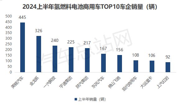 2024上半年FCV终端市场销量分析：格局异变(图3)