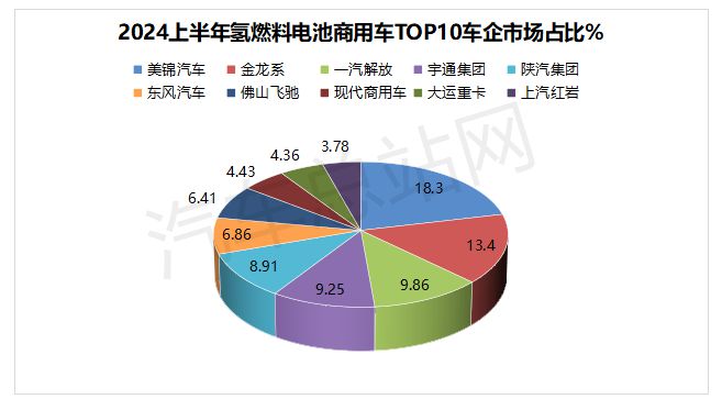2024上半年FCV终端市场销量分析：格局异变(图4)