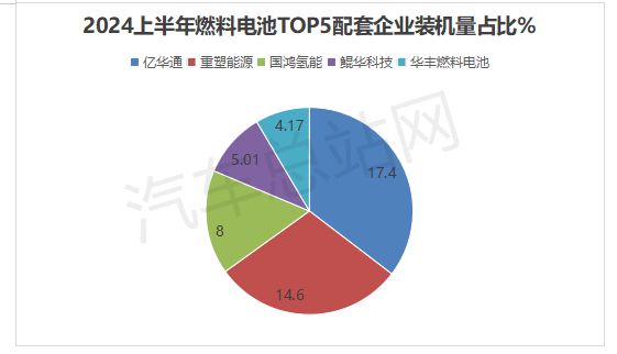 2024上半年FCV终端市场销量分析：格局异变(图6)