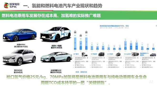 全球六大车企谈氢能乘用车：推广10万台成本即接近纯电汽车建议新增氢燃料电池乘用车示范城市群(图4)