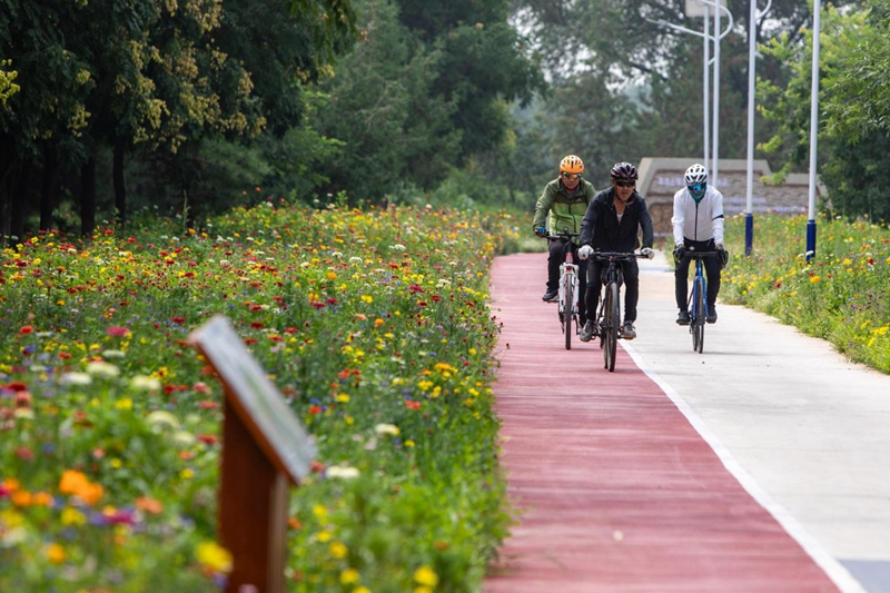 碧水蓝天倍儿“京”彩(图3)