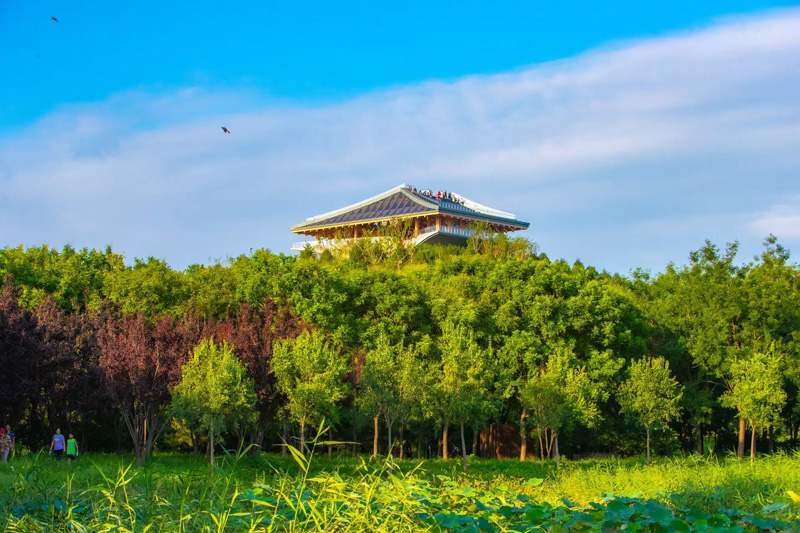 氢燃料车型最新资讯-快科技--科技改变未来(图4)