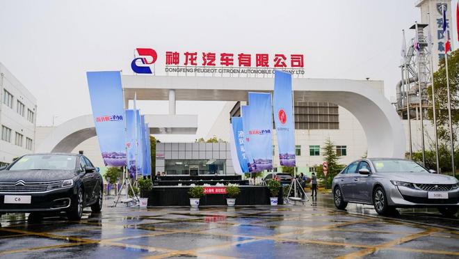 完美体育网站：拯救神龙：要用什么回魂丹？(图13)