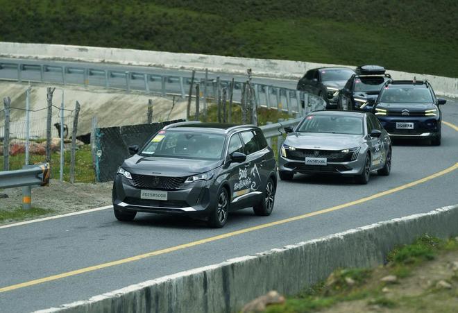 完美体育网站：拯救神龙：要用什么回魂丹？(图11)