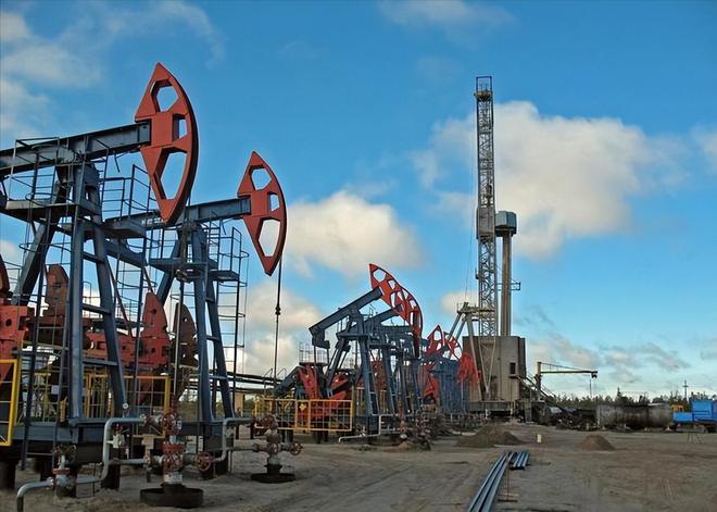 完美体育：七成石油靠进口每年花费上万亿发展电动汽车的我们没退路(图3)